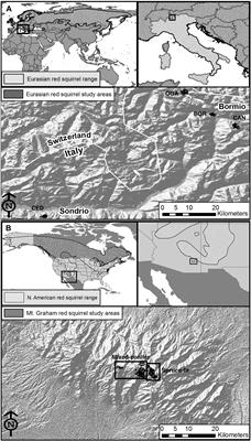 Timing of Resource Availability Drives Divergent Social Systems and Home Range Dynamics in Ecologically Similar Tree Squirrels